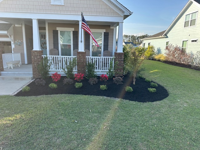 Fresh mulch bed with flowering shrubs along a sunny front porch