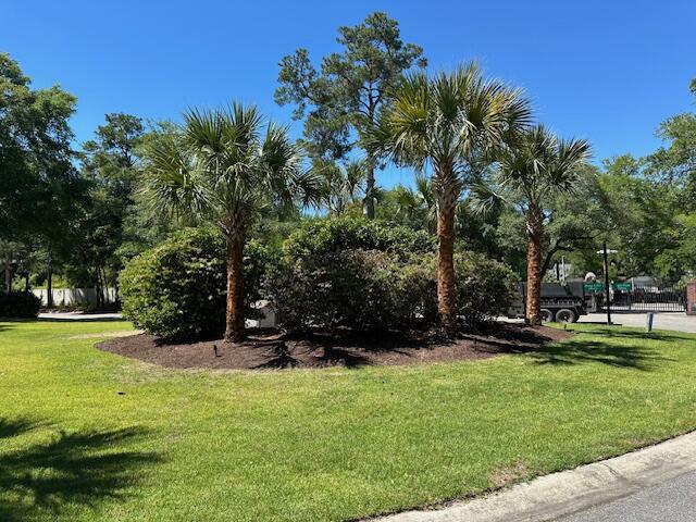 Trimmed and shaped hedge and tree massing at a commercial entrance