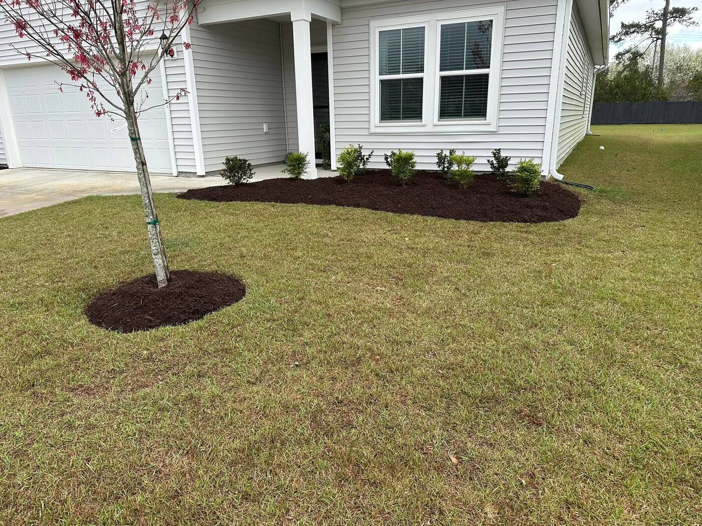 Fresh mulch bed installed around new plantings and a tree